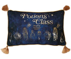Widdop Co Harry Potter Potions Class velvet cushion