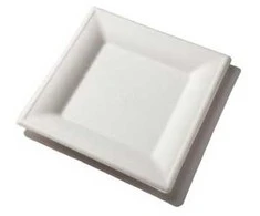 Abena Kvadratinės lėkštės iš cukranendrių, 16x16 cm, 50 vnt