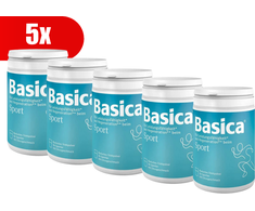 Protina Pharm BASICA Sport, 660 g