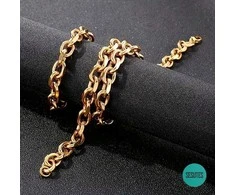 Titano plieno grandinėlė, 5 mm pločio, 50 ​​cm ilgio