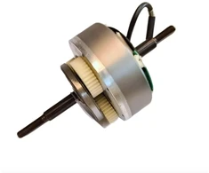 Engwe M20 variklis 750W, GT tipo