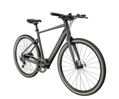 FIIDO C21 E-GRAVEL elektrinis dviratis (28"), l