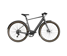 FIIDO C21 E-GRAVEL elektrinis dviratis (28"), l
