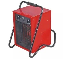 Dedra Elektrinis ildytuvas 25005000W