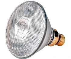 Lemputė Philips 175W balta 22309
