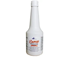 Pašarų papildas Energy Profiline 500g.