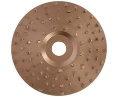 Diskas kanopų priežiūrai 115 mm 16377