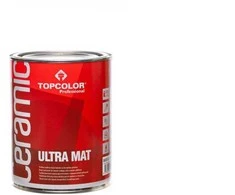 DISPERSINIAI DAŽAI PROFESSIONAL ULTRA MAT 1-X6 PROFESUL