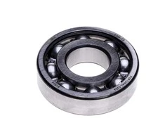 Guolis FAG 6306 C3