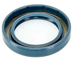 Riebokšlis 40x60x10mm, 21/6407-29