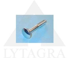 VARŽTAS DIN603 M6X60 ZN