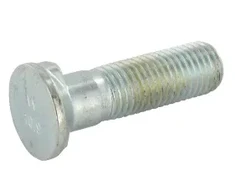 Varžtas Överum 11125221EK, M20x75 mm