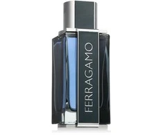 Salvatore Ferragamo Ferragamo Intense Leather EDP parfumuotas vanduo vyrams, 100 ml