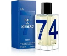 Iceberg Eau de Iceberg Cedar EDT tualetinis vanduo vyrams, 100 ml