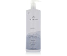 Paul Mitchell Awapuhi Wild Ginger Hydrasoft Conditioner, 1000 ml