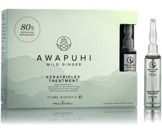 Paul Mitchell Awapuhi Wild Ginger Keratriplex Treatment 10 x 10 ml