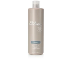 Paul Mitchell Classic The Detangler 500 ml