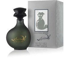 Salvador Dali Pour Homme EDT tualetinis vanduo vyrams, 100 ml