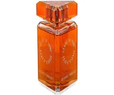 State Of Mind Aesthetic Turbulence EDP parfumuotas vanduo unisex, 100 ml