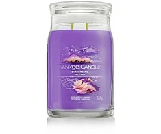 Yankee Candle Aromatinė žvakė Signatūrinis stiklas didelis Stargazing 567 g