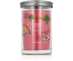 Yankee Candle Aromatinė žvakė Signature tumbler large Art In The Park 567 g
