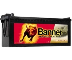 Banner 240Ah 1200A Buffalo Bull EFB akumuliatorius 12V 517X273X212/240mm