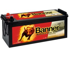 BANNER Buffalo PRO 64503 145Ah 12V 800A (EN) akumuliatorius