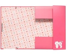 Bt21 LINIJAS DRAUGAI – aplankas Cony (24 x 34 cm)