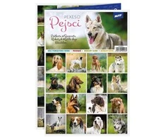 Dėlionė Pexeso MFP 3xA4 Dogs