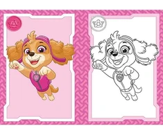 Jiri Models Coloring book A5 Paw Patrol/Paw Patrol