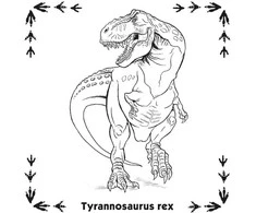 Dėlionė Jiri Models Memory game in the Dinosaurs workbook
