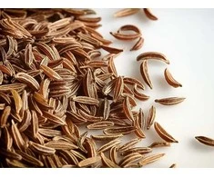 Kanapukis Kmynai 1kg