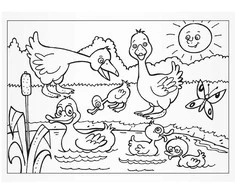 Dėlionė MFP Pets coloring pages