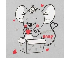 New Baby Naujas Baby Mouse kūdikio rinkinys pilkas, 86 (12-18m), 86 (12-18m) dydis