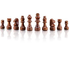 Woodyland Olymptoy Chess game Popular magnetic