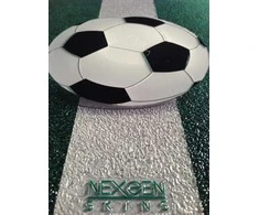 Other Brand „Nexgen Skins“ su 3D efektu, skirta „iPad 2/3/4“ (futbolo laukas 3D)