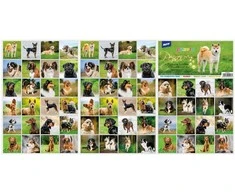 Dėlionė Pexeso MFP 3xA4 Dogs