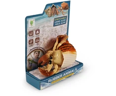 Rappa Crab with a shell 10 cm