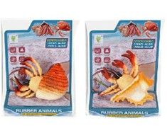 Rappa Crab with a shell 10 cm