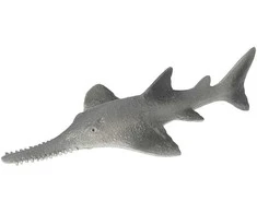 Rappa Mořská ryba piloun mnohozubý 14 cm