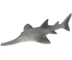 Rappa Mořská ryba piloun mnohozubý 14 cm