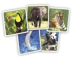 Rappa Pexeso ZOO in a box