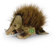 Rappa Plush echidna 24 cm ECO-FRIENDLY