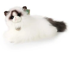 Pliušinis Rappa Ragdoll katinas 38 cm EKOLOGIŠKAS