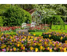 Ravensburger Puzzle 1000 Pieces: Keukenhof Gardens