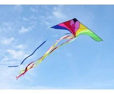 Jokomisiada Large Light Kite with colorful ribbons 190x100cm ZA5571