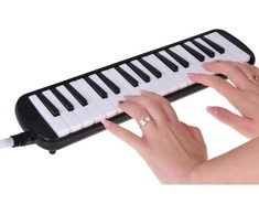 Jokomisiada Muzikos instrumentas Melodija Klaviatūros armonikos dėklas su dviem kandikliais IN0175