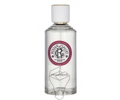 Roger &amp; Gallet Gingembre Wellbeing Fragrant Vanduo, 100 ml