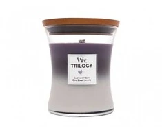 Woodwick Aromatinė žvakė (Trilogy Amethyst Sky), 275 g