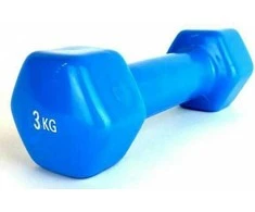 Provesport Aerobikos hantelis Prove 3kg (1vnt)